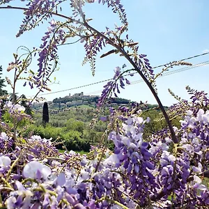 https://casa-nonna-dilia.it-tuscanyhotel.com